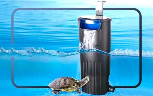 Best Rated Turtle Tank Filters 2025: Reviews + Buying Guide