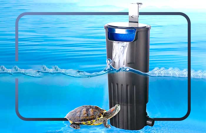 Best Rated Turtle Tank Filters 2025: Reviews + Buying Guide