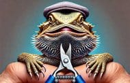 Best Rated Bearded Dragon Nail Clippers 2025: Reviews + Buying Guide