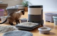 Best Rated Litter For Litter Robot 2025: Reviews + Buying Guide