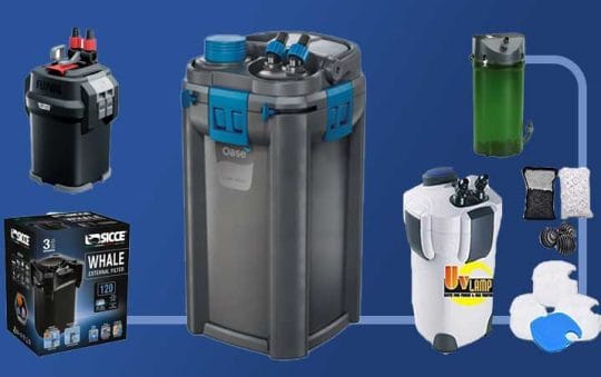 Best Rated Canister Filters 2025: Reviews + Buying Guide