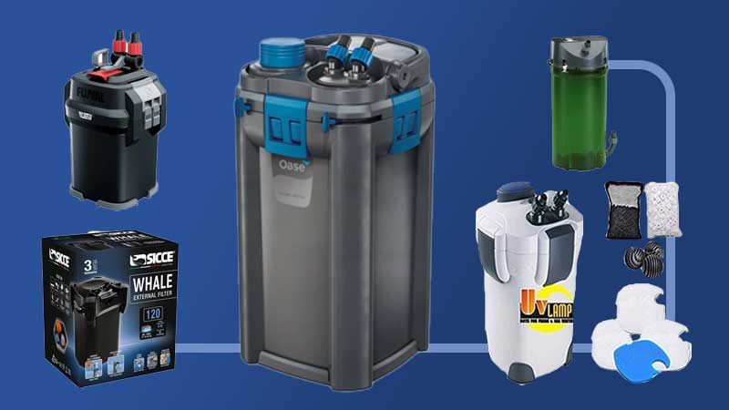 Best Rated Canister Filters 2025: Reviews + Buying Guide