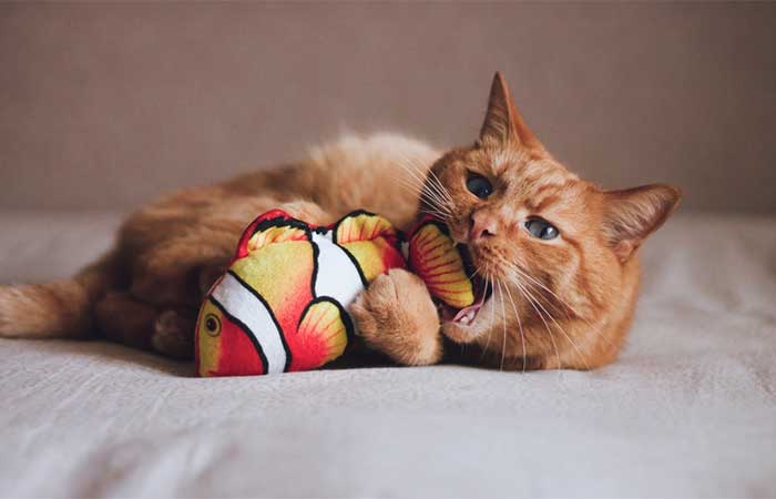 Best Rated Interactive Cat Toys 2025: Reviews + Buying Guide