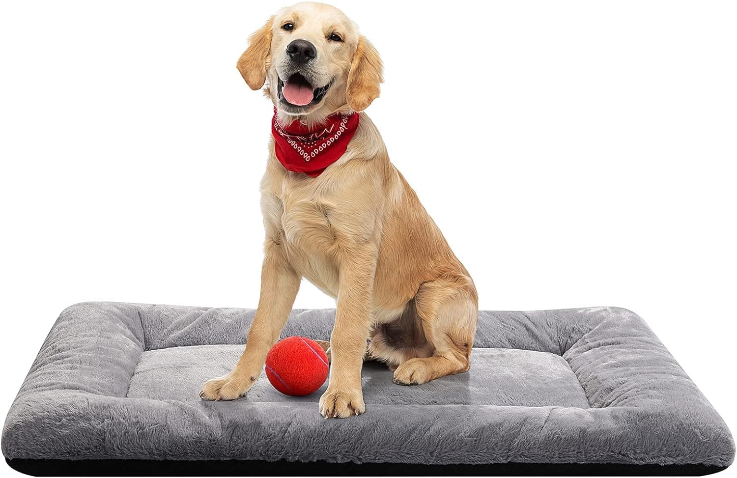 Starmark Bob-A-Lot Dog Toy