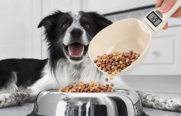 Person measuring dog food into a bowl