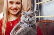 Cat Care Guide: 15 Essential Tips for a Happy, Healthy Pet