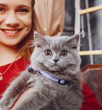 Cat Care Guide: 15 Essential Tips for a Happy, Healthy Pet