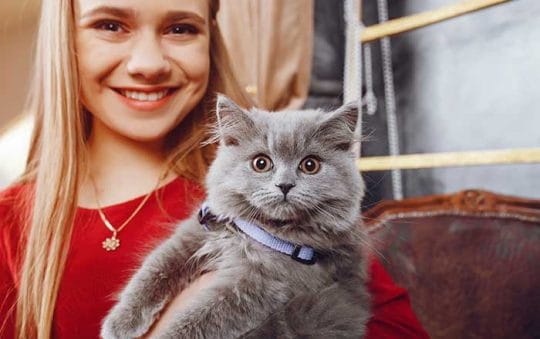 Cat Care Guide: 15 Essential Tips for a Happy, Healthy Pet