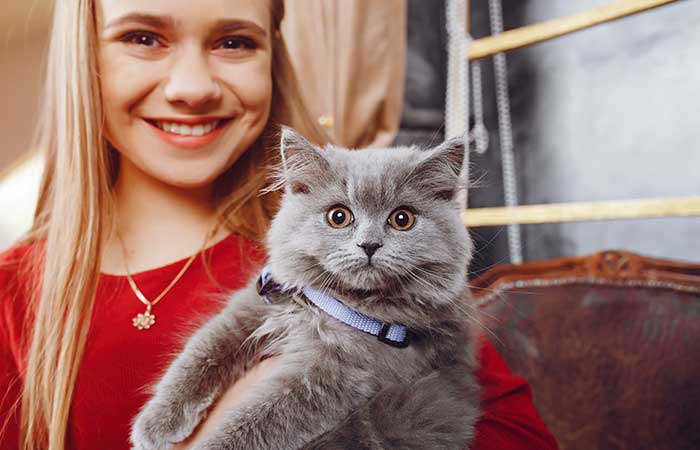 Cat Care Guide: 15 Essential Tips for a Happy, Healthy Pet