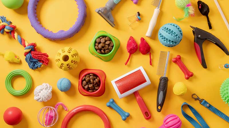 Cat Care Essentials - Must-Have Cat Supplies & Equipment Guide