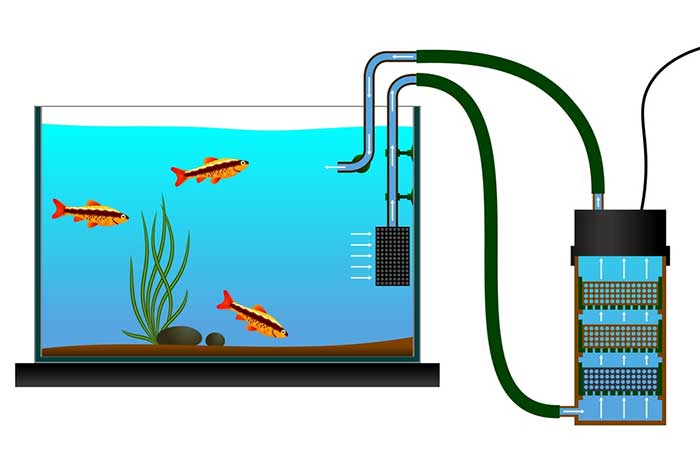 Types of Aquarium Filters