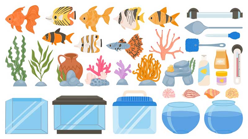 Essential Aquarium Equipment
