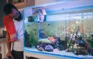 The Simple Guide to Setting Up A Freshwater Aquarium: A Beginners Guide