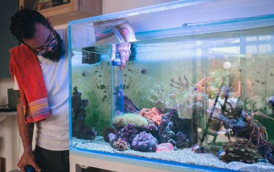 The Simple Guide to Setting Up A Freshwater Aquarium: A Beginners Guide