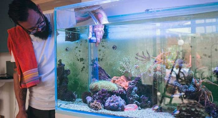 The Simple Guide to Setting Up A Freshwater Aquarium: A Beginners Guide