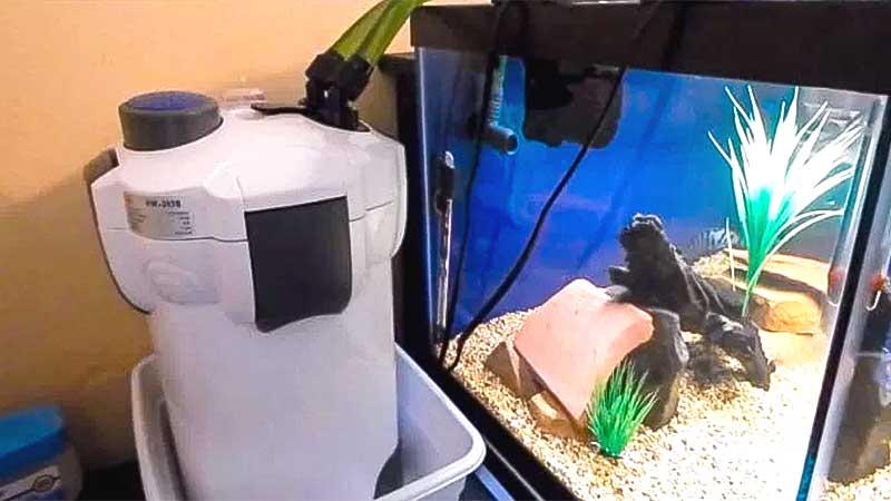 High-performance canister filter for advanced aquarium filtration.