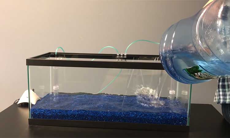 Setting up an Undergravel Aquarium Filter