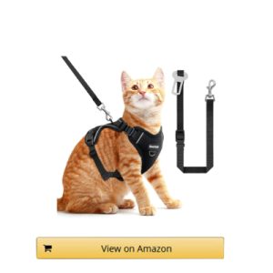 Bechtel Cat Harness