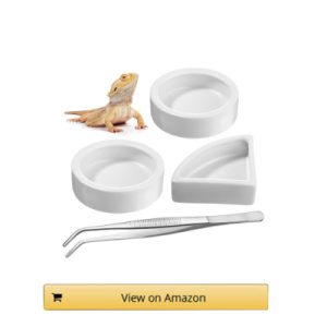 Boao 4 Pcs Reptile Food Water Bowl Set