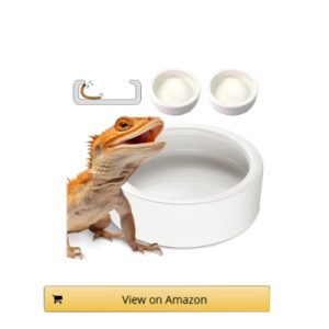 Helime Ceramic Food Bowl