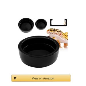 Magtara Ceramic Food Bowl
